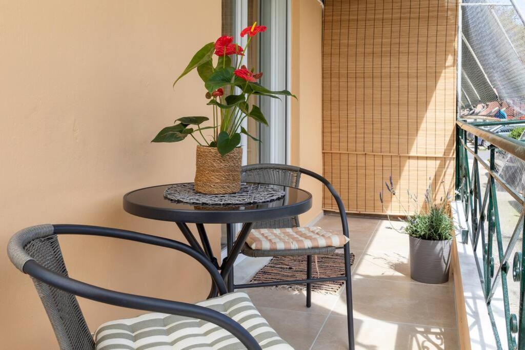 Afrodite'S Cosy And Lovely Apartment Alepou Exteriér fotografie